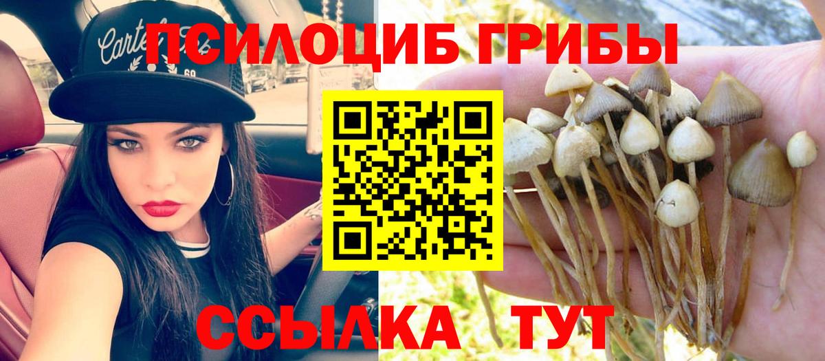 Галлюциногенные грибы Cubensis Канаш